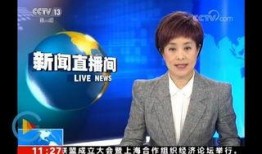 赵先生最新爆料新闻视频,揭秘最新新闻视频背后的惊人真相